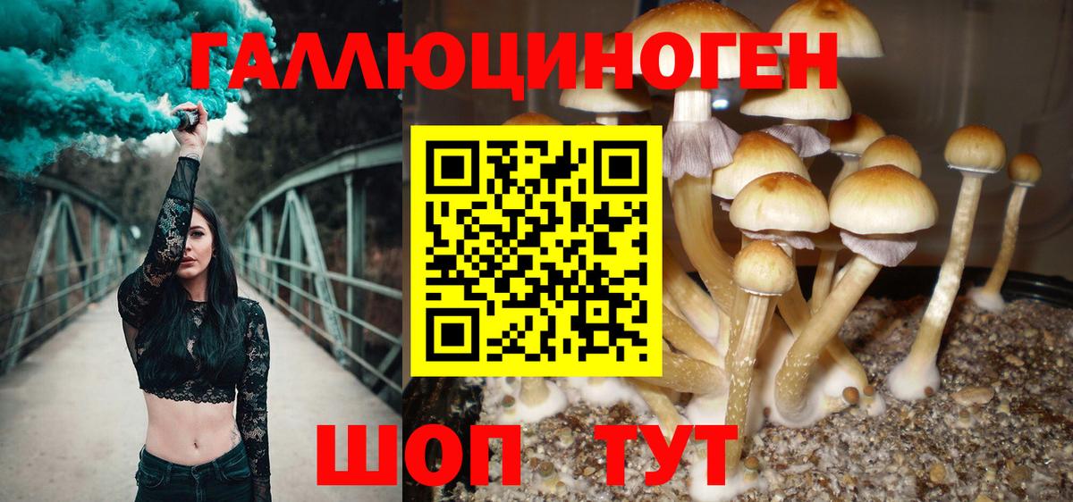 Псилоцибиновые грибы Cubensis Воскресенск